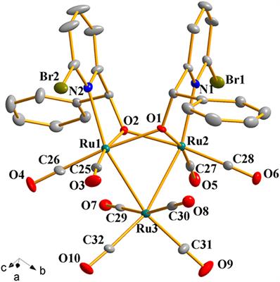 Synthesis and Structures of Ruthenium Carbonyl Complexes Bearing Pyridine-Alkoxide Ligands and Their Catalytic Activity in Alcohol Oxidation